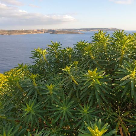 Ta' Rosalba B&B Nadur Buitenkant foto